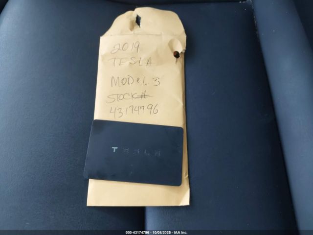 2019 TESLA MODEL 3 5YJ3E1EA7KF313203 Photo 10