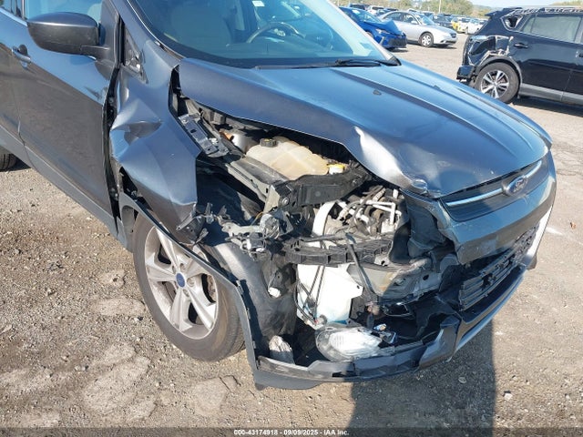 Ford 2015 2015 1FMCU0G78FUB37835 Image 6