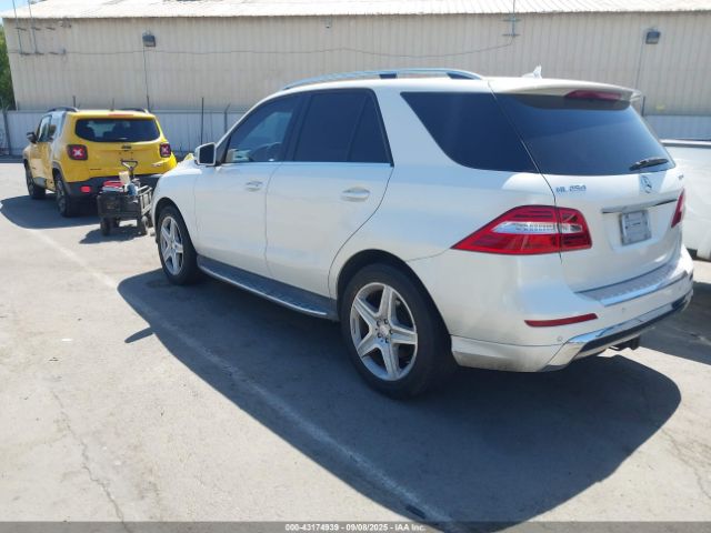 2015 MERCEDES-BENZ ML 250 BLUETEC 4JGDA0EBXFA479857 Photo 2
