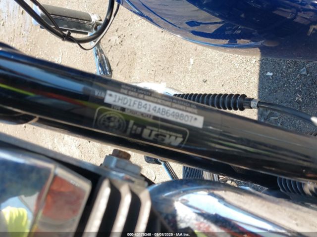 2010 HARLEY-DAVIDSON FLHR 1HD1FB414AB649807 Photo 9