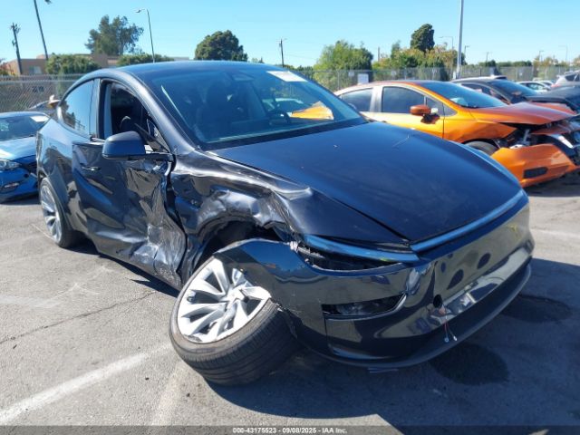 2026 TESLA MODEL Y 7SAYGDEE4TF335586