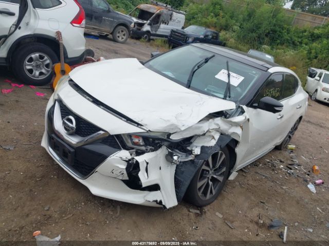 2016 NISSAN MAXIMA 1N4AA6AP3GC407745 Photo 1