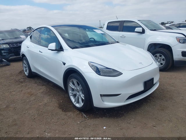 2024 TESLA MODEL Y 7SAYGDEE9RF089806 Photo 0