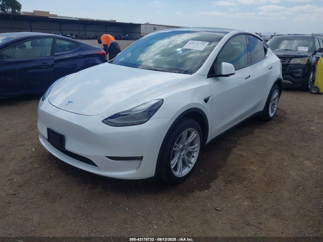 2024 TESLA MODEL Y 7SAYGDEE9RF089806 Photo 1