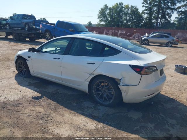 2021 TESLA MODEL 3 5YJ3E1EA7MF096240 Photo 2