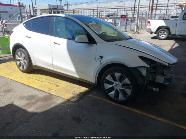 2023 TESLA MODEL Y 7SAYGDEE6PF713090 Photo 0