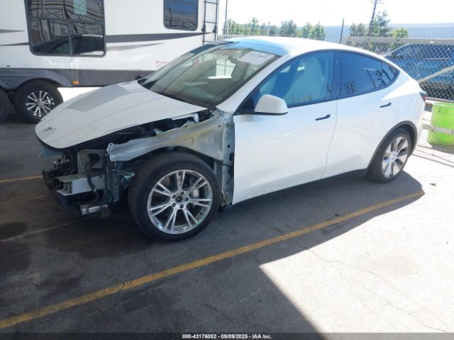 2023 TESLA MODEL Y 7SAYGDEE6PF713090 Photo 1