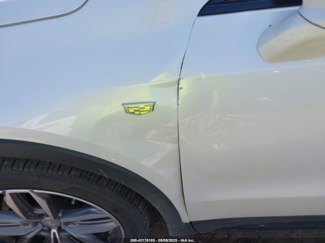 2019 CADILLAC XT4 1GYFZER45KF220926 Photo 5