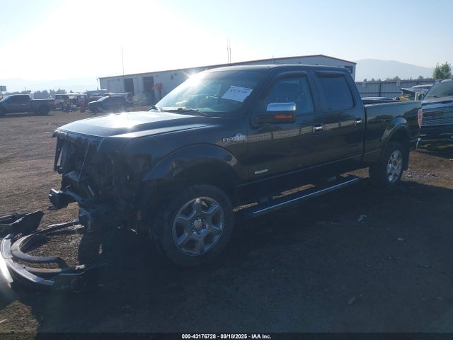 1FTFW1ET7EKD22535 Ford 2014