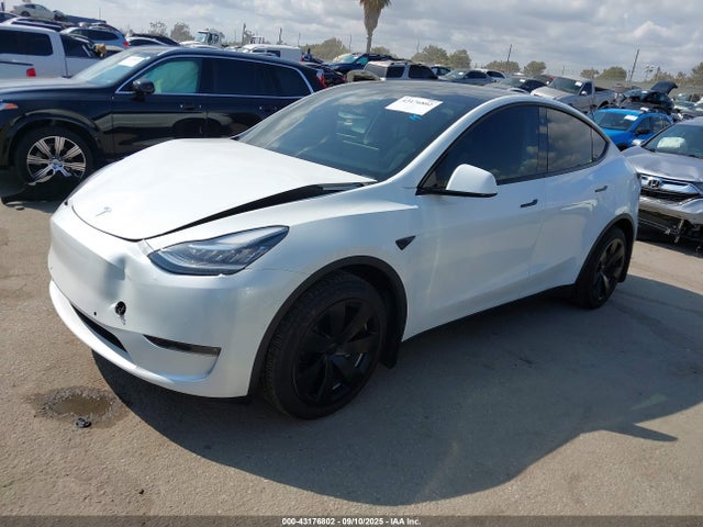 2021 TESLA MODEL Y 5YJYGDEE1MF299130 Photo 1