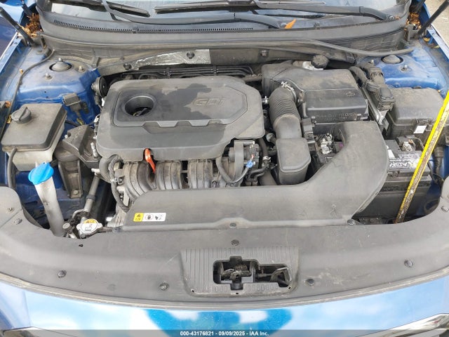 5NPE24AF1HH467114 Hyundai 2017