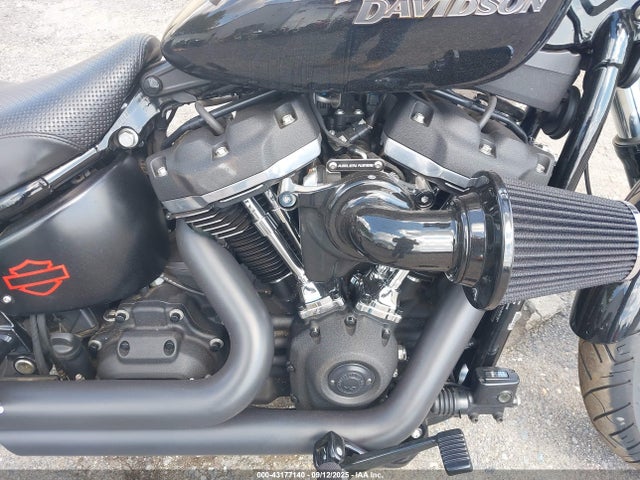 1HD1YJJ1XLB076133 Harley-Davidson 2020