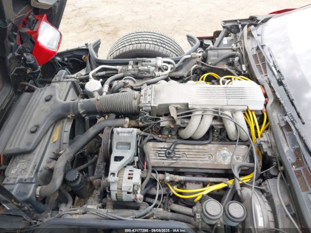 1989 CHEVROLET CORVETTE 1G1YY218XK5113240 Photo 9