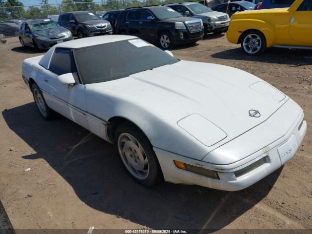 1996 CHEVROLET CORVETTE 1G1YY32P8T5114447
