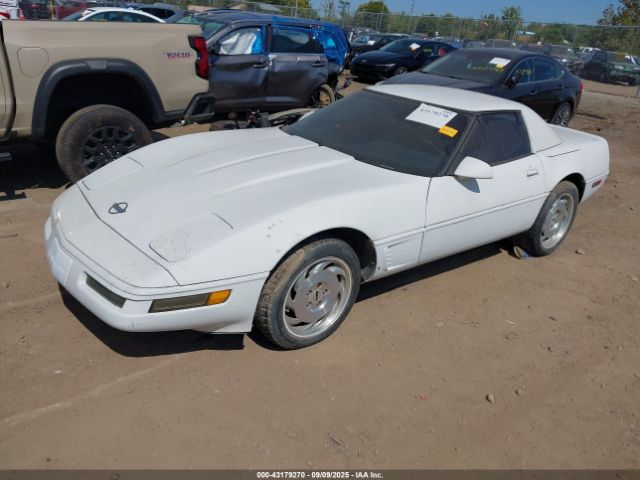 1996 CHEVROLET CORVETTE 1G1YY32P8T5114447 Photo 1