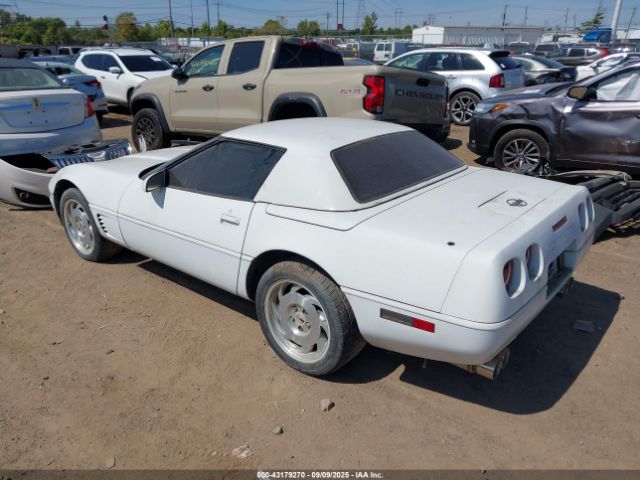 1996 CHEVROLET CORVETTE 1G1YY32P8T5114447 Photo 2
