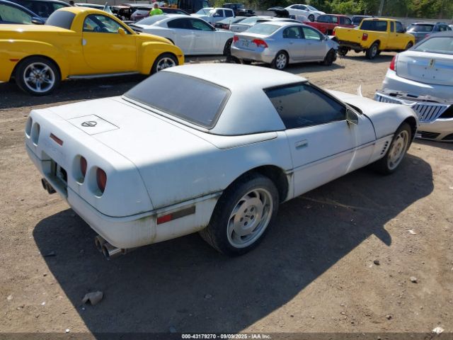 1996 CHEVROLET CORVETTE 1G1YY32P8T5114447 Photo 3