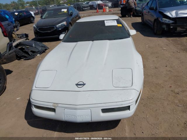 1996 CHEVROLET CORVETTE 1G1YY32P8T5114447 Photo 5