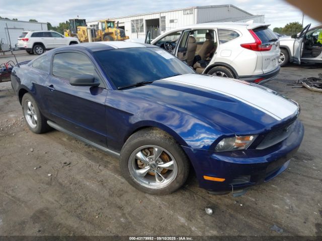 2010 FORD MUSTANG 1ZVBP8AN1A5155297