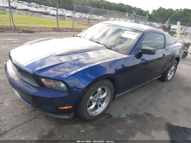2010 FORD MUSTANG 1ZVBP8AN1A5155297 Photo 1