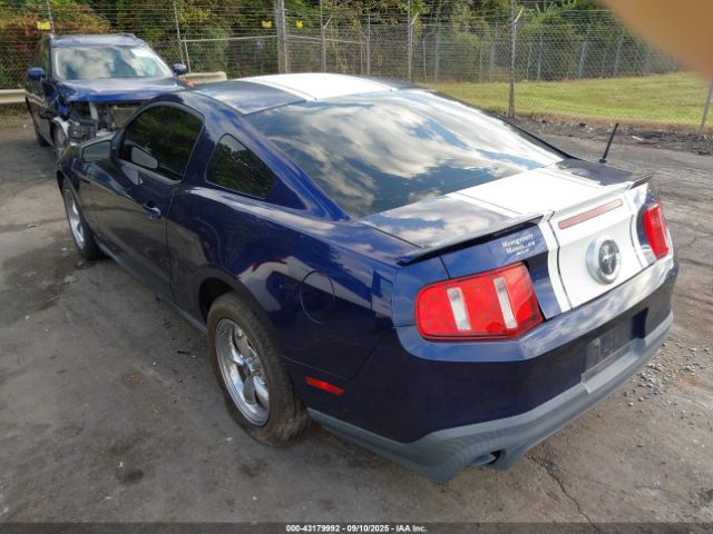 2010 FORD MUSTANG 1ZVBP8AN1A5155297 Photo 2
