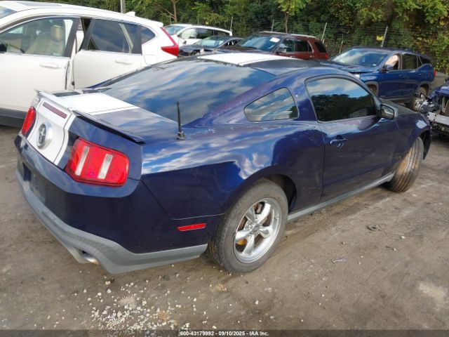 2010 FORD MUSTANG 1ZVBP8AN1A5155297 Photo 3