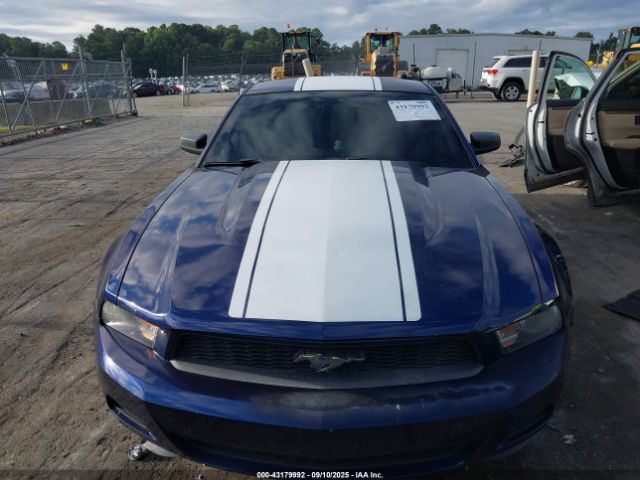 2010 FORD MUSTANG 1ZVBP8AN1A5155297 Photo 5