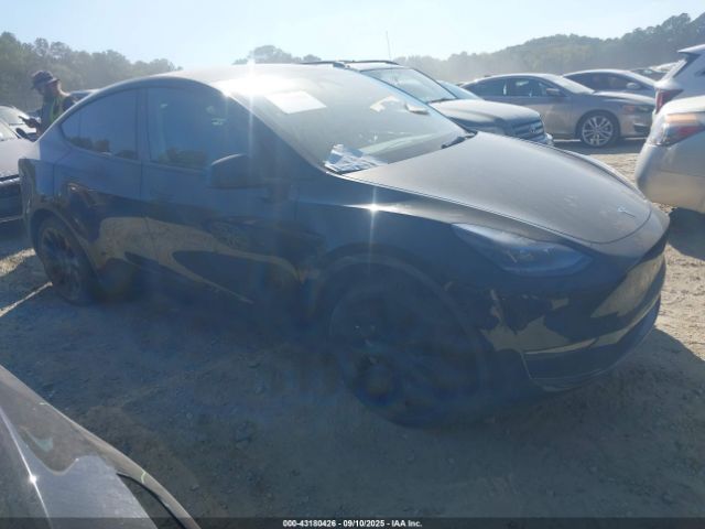 2024 TESLA MODEL Y 7SAYGDED5RA316669 Photo 0