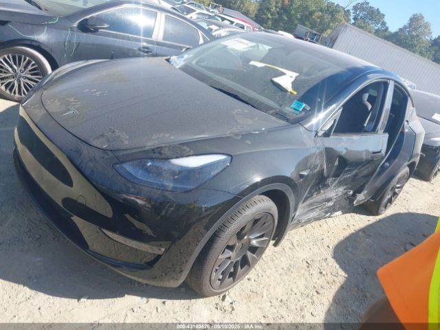 2024 TESLA MODEL Y 7SAYGDED5RA316669 Photo 1