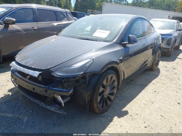 2025 TESLA MODEL Y 7SAYGDEF7SA371602 Photo 1