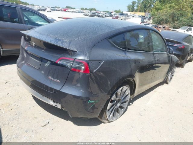 2025 TESLA MODEL Y 7SAYGDEF7SA371602 Photo 3