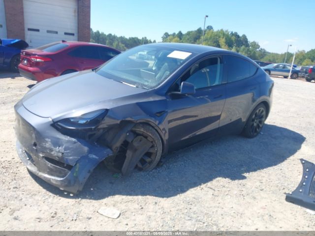 2023 TESLA MODEL Y 7SAYGAEE9PF971859 Photo 1
