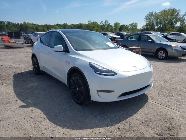 2020 TESLA MODEL Y 5YJYGDEE1LF006518 Photo 0