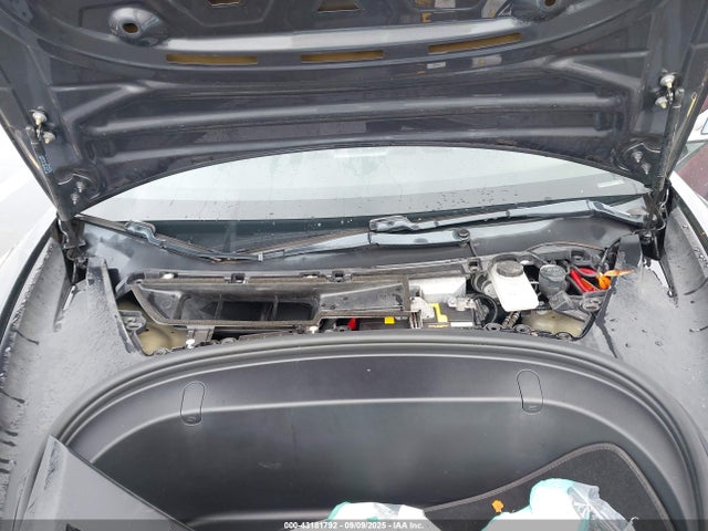 2019 TESLA MODEL 3 5YJ3E1EA1KF313651 Photo 9