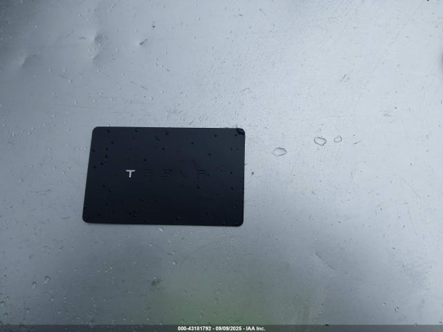 2019 TESLA MODEL 3 5YJ3E1EA1KF313651 Photo 10
