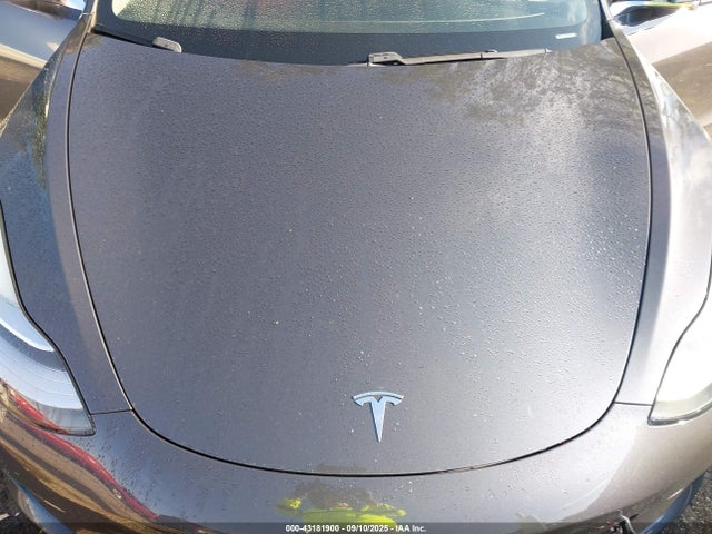 2020 TESLA MODEL 3 5YJ3E1EC4LF733732 Photo 9