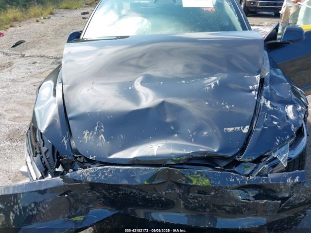 2025 TESLA MODEL 3 5YJ3E1EAXSF925329 Photo 9