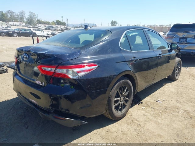4T1C31AK9LU522466 Toyota Camry Le Hybrid