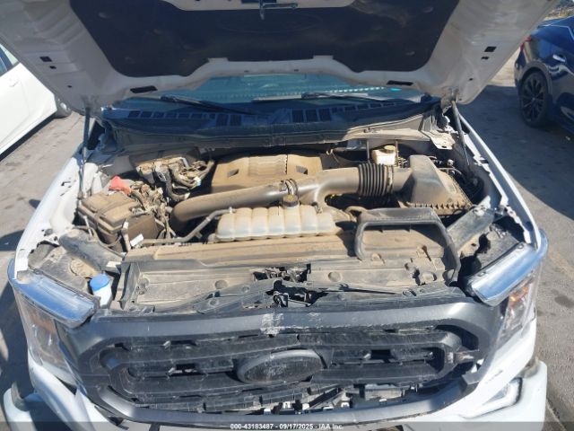 2023 FORD F-150 1FTFW1E86PKD61499 Photo 9