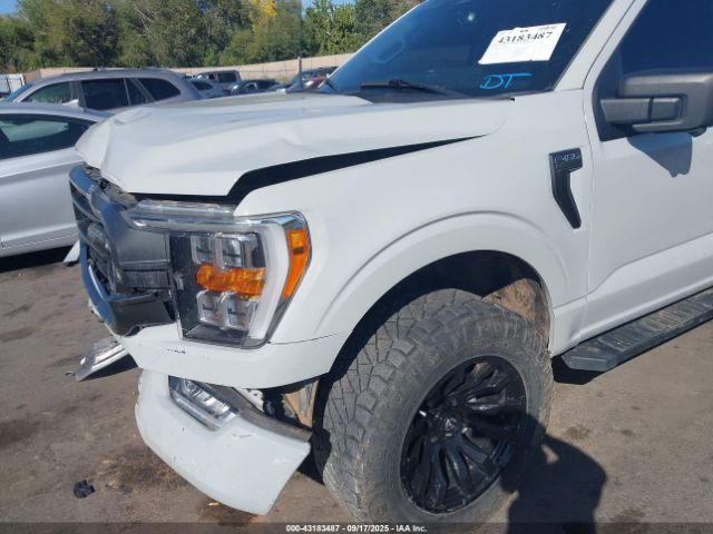 2023 FORD F-150 1FTFW1E86PKD61499 Photo 5