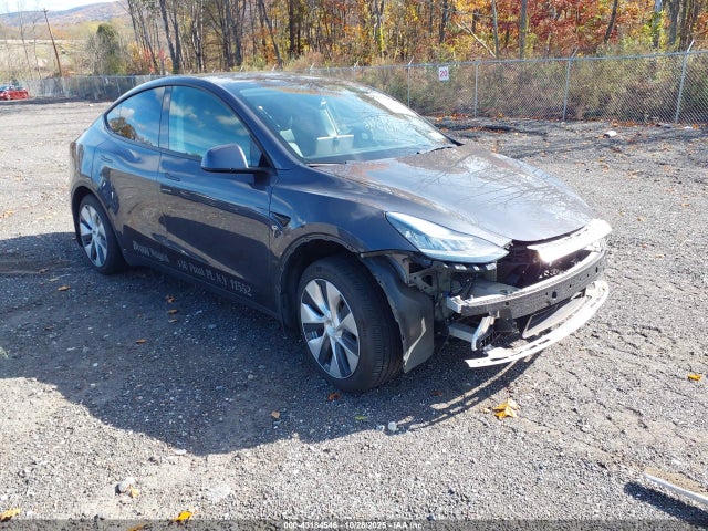 2021 TESLA MODEL Y 5YJYGDEE0MF192201 Photo 0