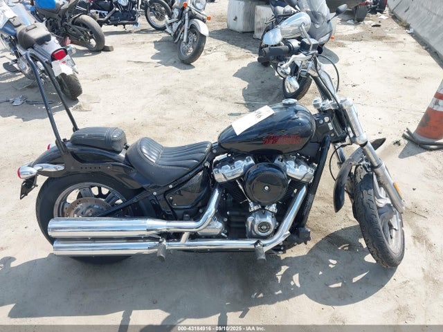 1HD1BVJ24PB058394 Harley-Davidson 2023