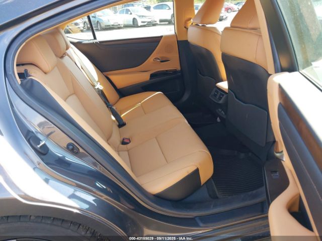 2025 LEXUS ES 350 58ADZ1B15SU193264 Photo 7