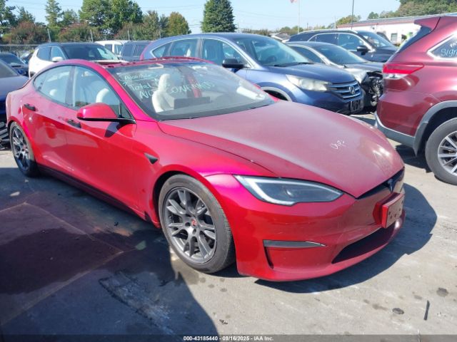2023 TESLA MODEL S 5YJSA1E51PF517805