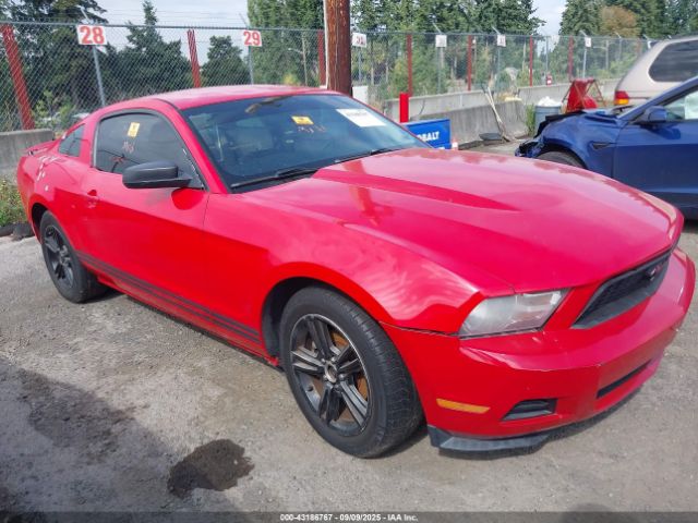 2010 FORD MUSTANG 1ZVBP8AN1A5131386