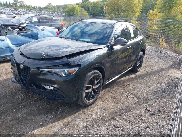 2021 ALFA ROMEO STELVIO ZASPAKBN0M7D09486 Photo 1