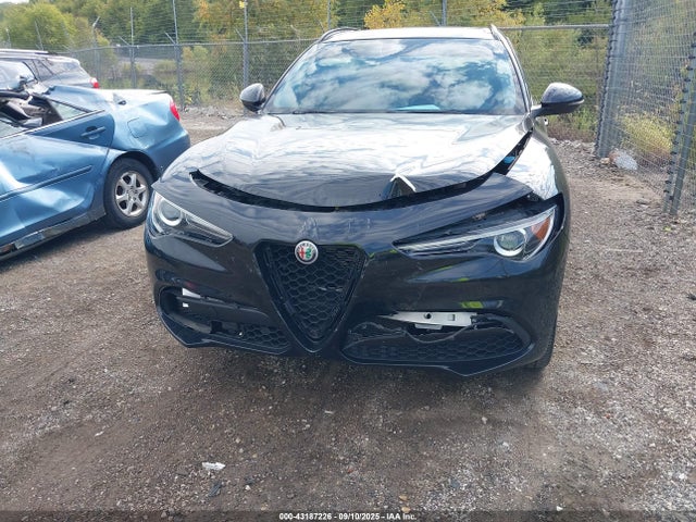 2021 ALFA ROMEO STELVIO ZASPAKBN0M7D09486 Photo 5