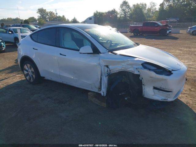 2024 TESLA MODEL Y 7SAYGDEE0RA257460 Photo 0