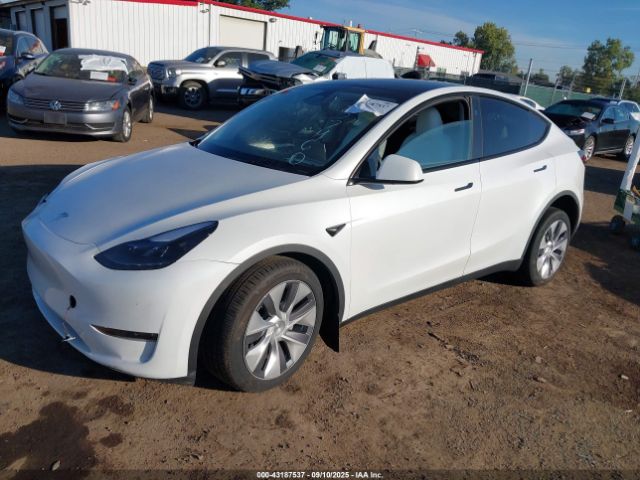 2024 TESLA MODEL Y 7SAYGDEE0RA257460 Photo 1