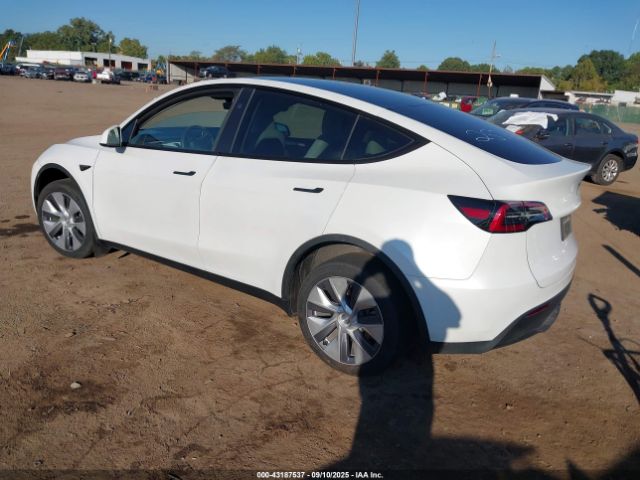 2024 TESLA MODEL Y 7SAYGDEE0RA257460 Photo 2